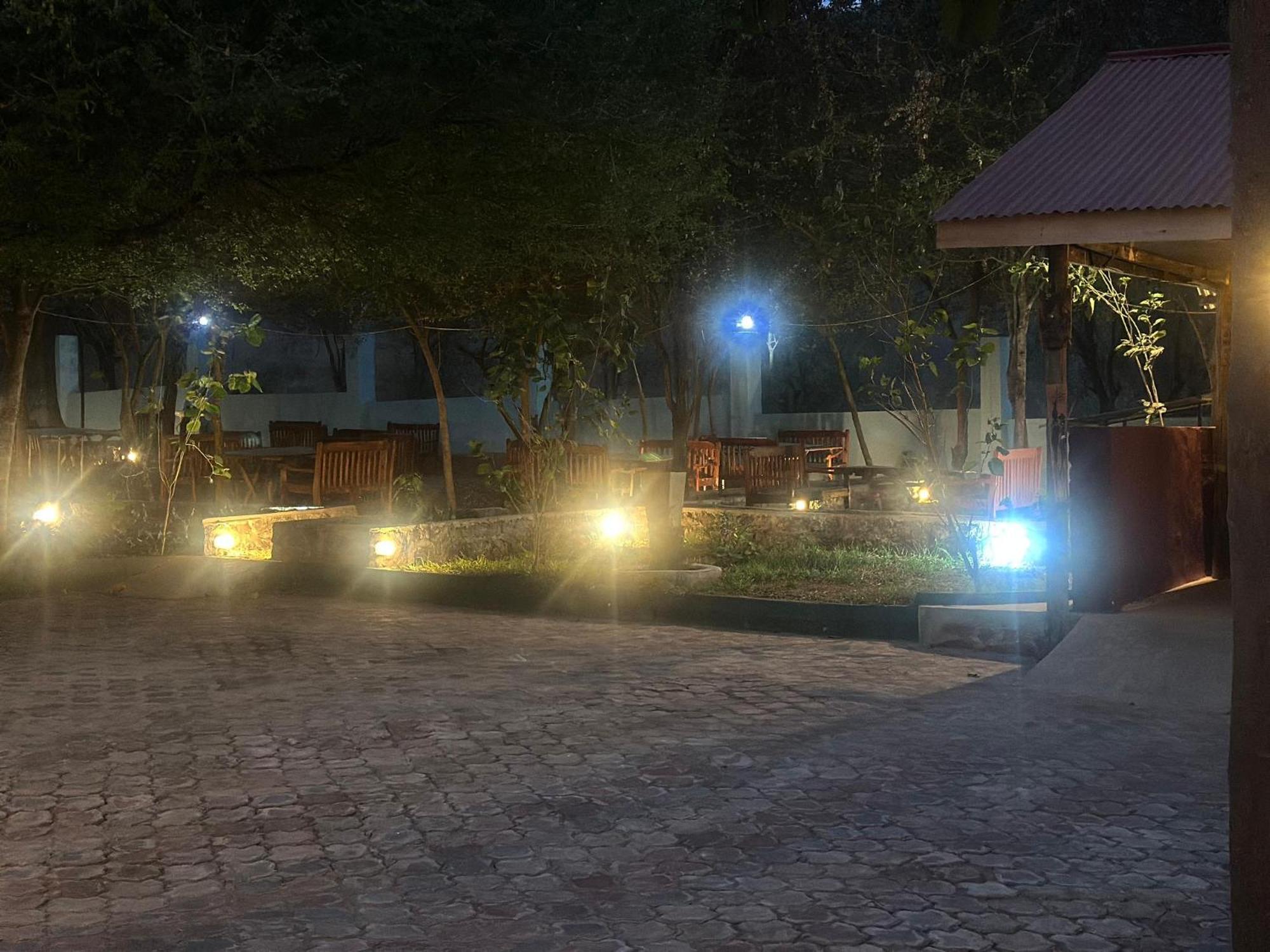Mkomazi Hotels And Camps Hegoma Extérieur photo