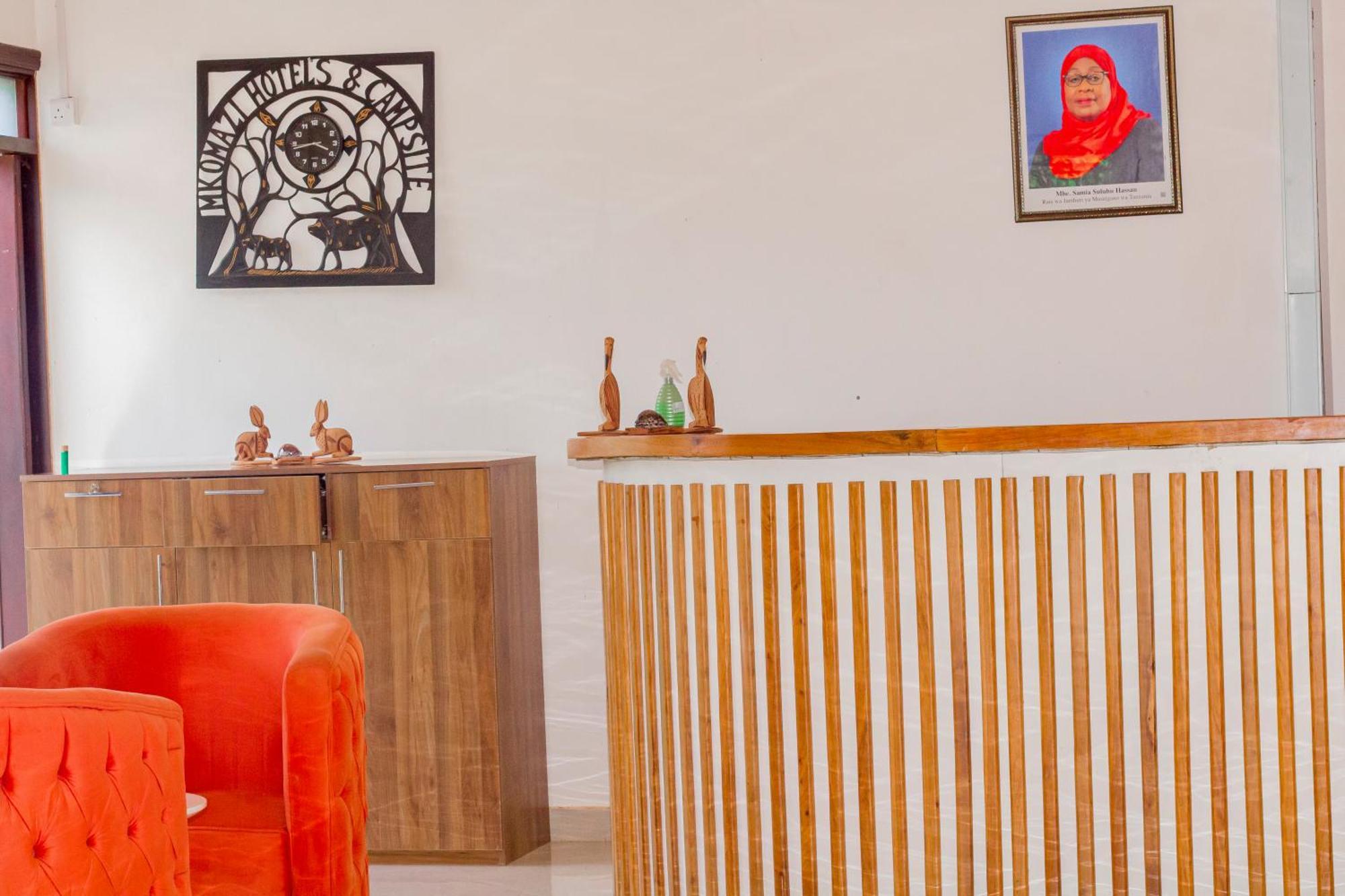 Mkomazi Hotels And Camps Hegoma Extérieur photo