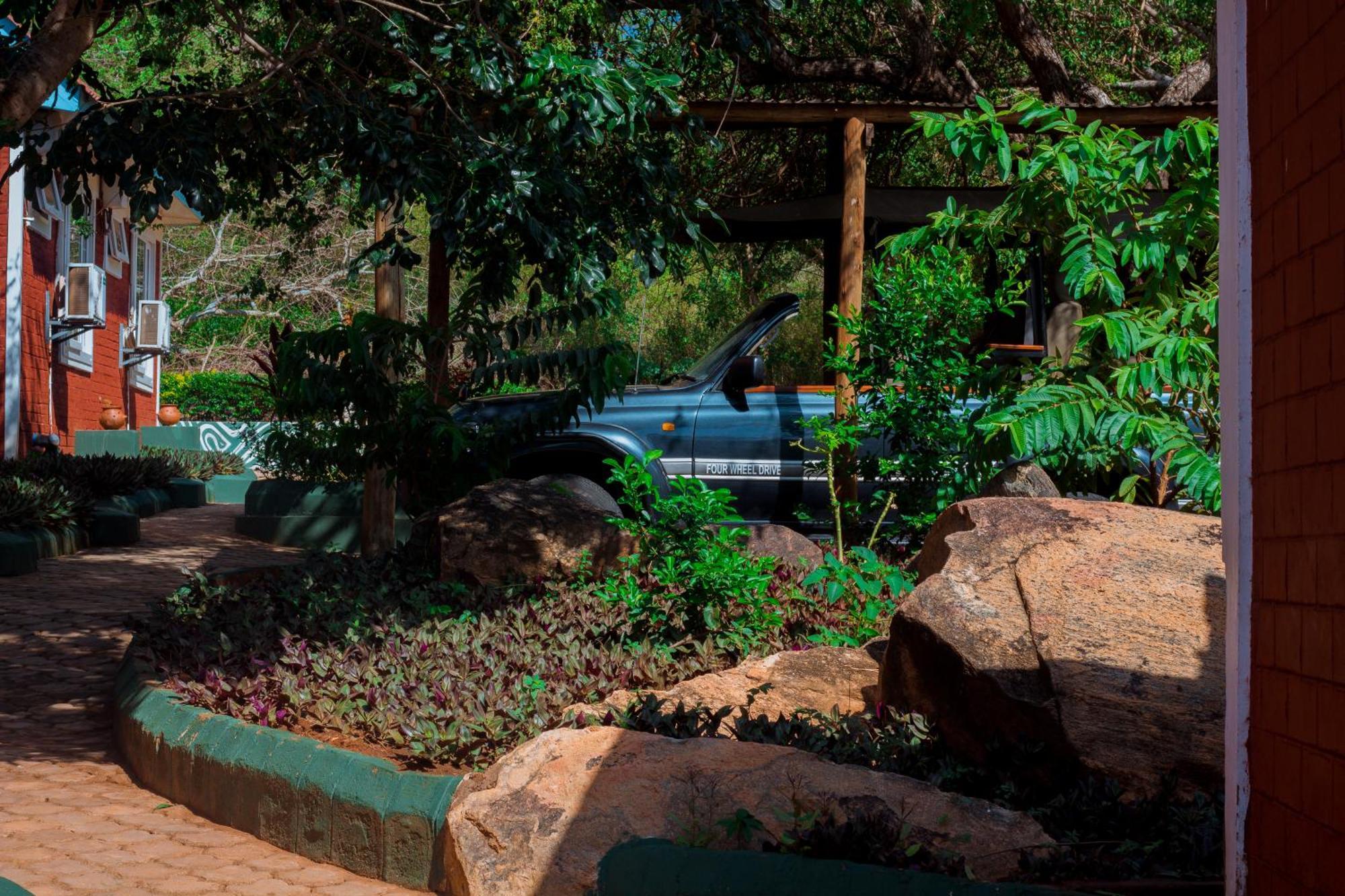 Mkomazi Hotels And Camps Hegoma Extérieur photo