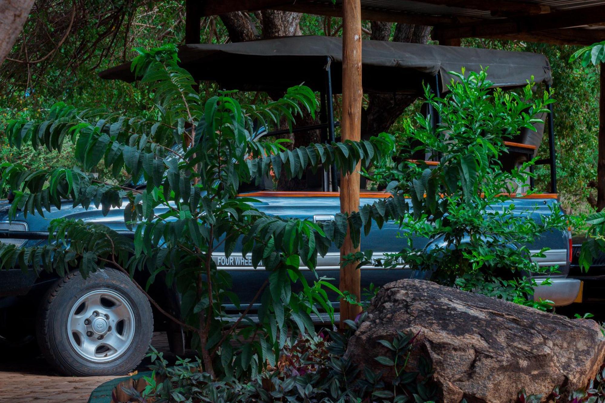 Mkomazi Hotels And Camps Hegoma Extérieur photo