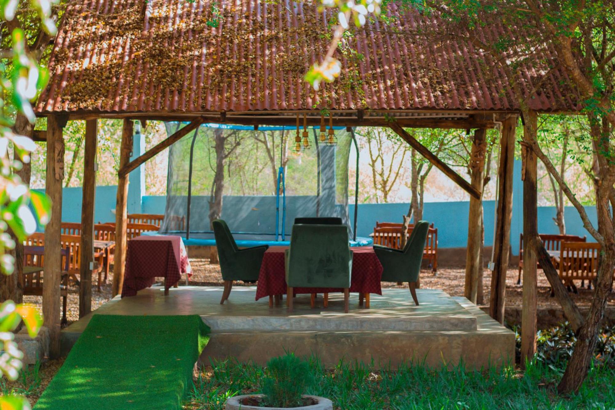 Mkomazi Hotels And Camps Hegoma Extérieur photo