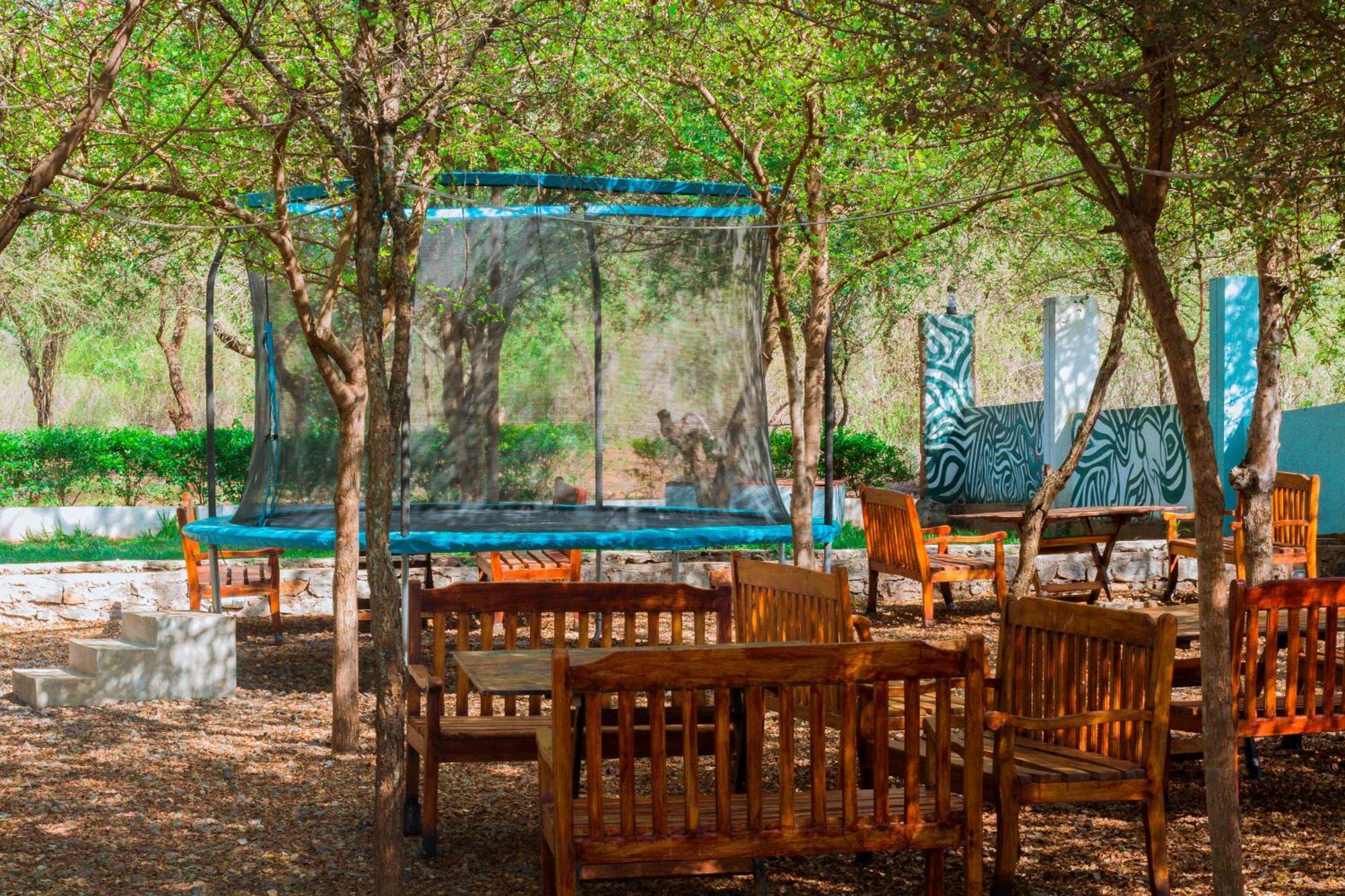 Mkomazi Hotels And Camps Hegoma Extérieur photo